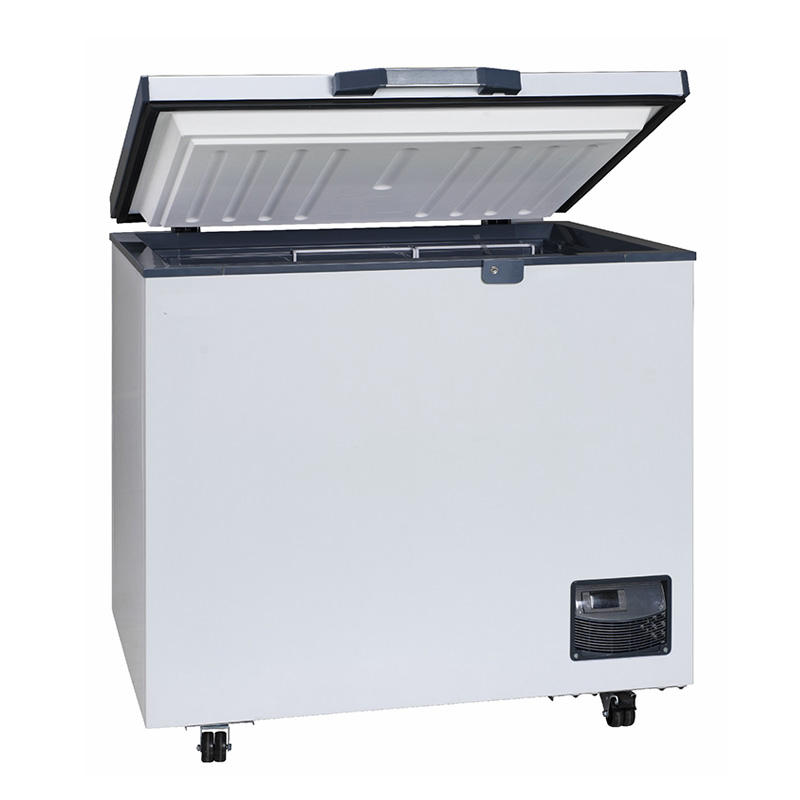 China Laboratory Deep Freezer -25 Degree Safe And Durable Small Size 100L Horizontal Low Temperature Freezer for Sale