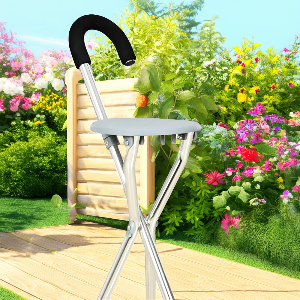 BME11001 Cane with Seat Product Show