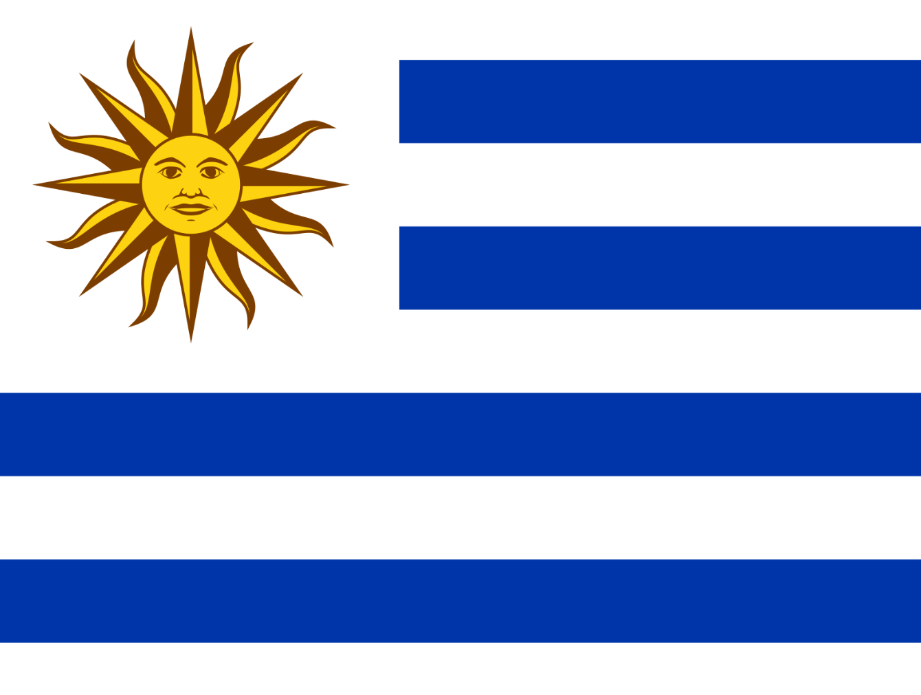 Proveedor mayorista de sillas de ruedas y movilidad hospitalaria en Uruguay