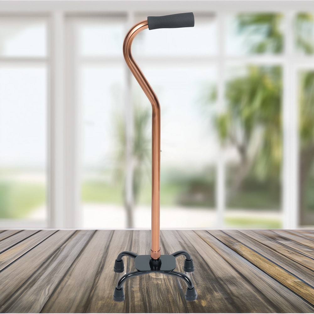 BME40012 Quad Cane Show 01