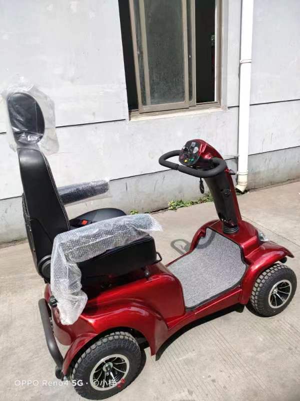 electric scooter (7)